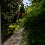 דירה Aifen - Pentru Toata Familia In - Cu Gradina Proprie, La 2 Pasi De Plaja 4*
