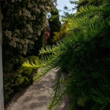 Apartment Aifen - Pentru Toata Familia In - Cu Gradina Proprie, La 2 Pasi De Plaja 4*