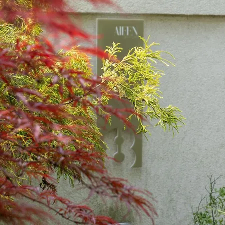 Aifen - Pentru Toata Familia In - Cu Gradina Proprie, La 2 Pasi De Plaja Eforie Nord