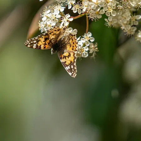 Apartment Aifen - Pentru Toata Familia In - Cu Gradina Proprie, La 2 Pasi De Plaja 4*