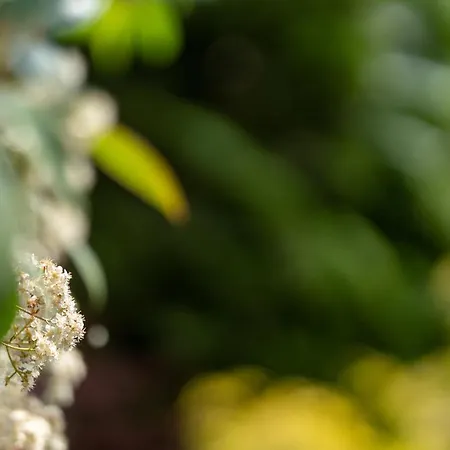 Aifen - Pentru Toata Familia In - Cu Gradina Proprie, La 2 Pasi De Plaja 4* Eforie Nord