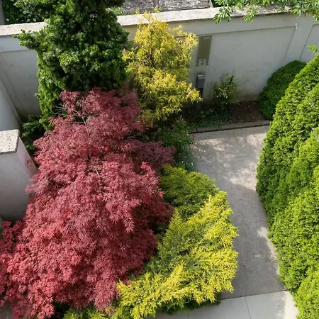 Aifen Apartment