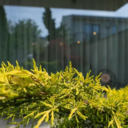 Aifen - Pentru Toata Familia In - Cu Gradina Proprie, La 2 Pasi De Plaja Eforie Nord