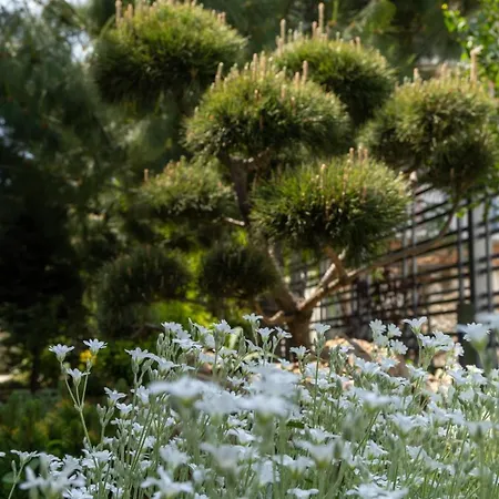 Apartment Aifen - Pentru Toata Familia In - Cu Gradina Proprie, La 2 Pasi De Plaja Eforie Nord