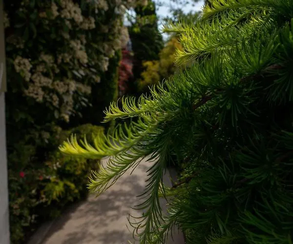 شقة Aifen - Pentru Toata Familia In - Cu Gradina Proprie, La 2 Pasi De Plaja 4*