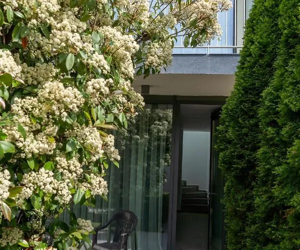 Aifen - Pentru Toata Familia In - Cu Gradina Proprie, La 2 Pasi De Plaja إيفوري نورد