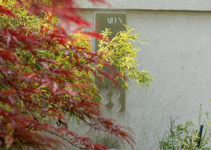 Aifen - Pentru Toata Familia In - Cu Gradina Proprie, La 2 Pasi De Plaja إيفوري نورد