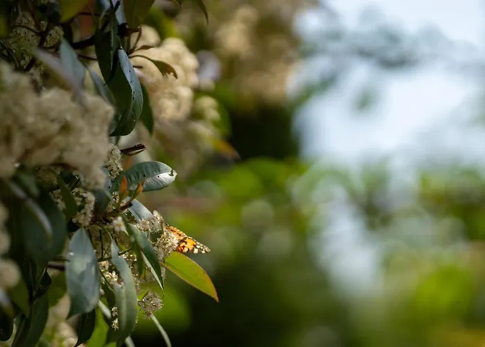 Aifen - Pentru Toata Familia In - Cu Gradina Proprie, La 2 Pasi De Plaja 4*