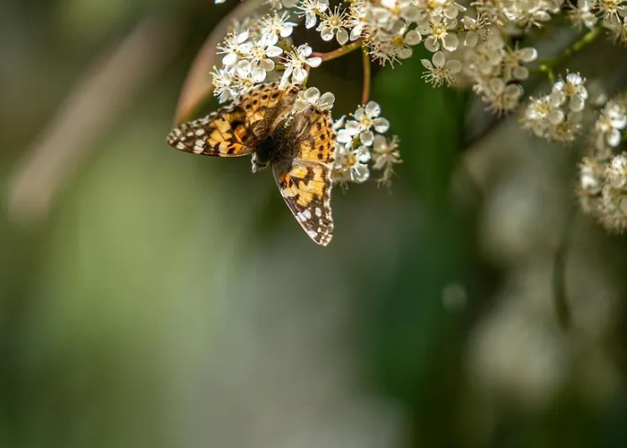 شقة Aifen - Pentru Toata Familia In - Cu Gradina Proprie, La 2 Pasi De Plaja 4*
