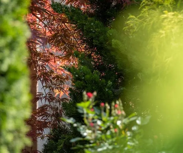 Aifen - Pentru Toata Familia In - Cu Gradina Proprie, La 2 Pasi De Plaja إيفوري نورد