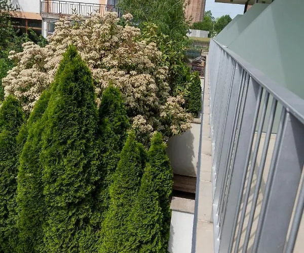 Aifen - Pentru Toata Familia In - Cu Gradina Proprie, La 2 Pasi De Plaja إيفوري نورد