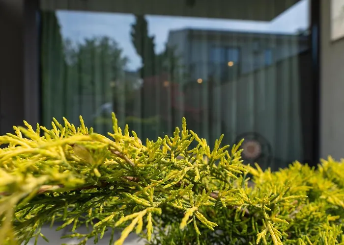 Aifen - Pentru Toata Familia In - Cu Gradina Proprie, La 2 Pasi De Plaja إيفوري نورد