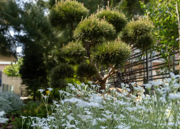 شقة Aifen - Pentru Toata Familia In - Cu Gradina Proprie, La 2 Pasi De Plaja إيفوري نورد